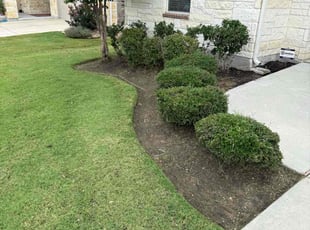 Weeding by Joshua Benouis for Zack M. in Pflugerville, TX