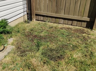 Cleanups by Josh Binion for Donny S. in Galloway, OH