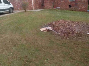 Leaf Removal by Lionel Lee for Christina N. in Stone Mountain, GA