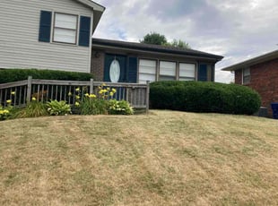 Bush Trimming by Joel Laumas for Mark A. in Lexington, KY