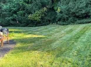 Pam L.'s Lawn Maintenance service result