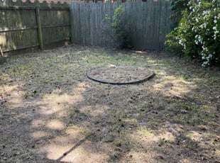 Leaf Removal by Timothy Mujsce for Maria H. in Chesapeake, VA