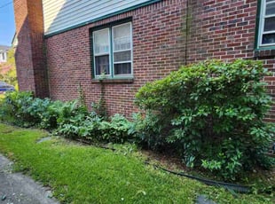 Bush Trimming by Jay M for Laura A. in Norfolk, VA