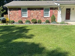 Bush Trimming by Luis Contreras for April K. in Indianapolis, IN