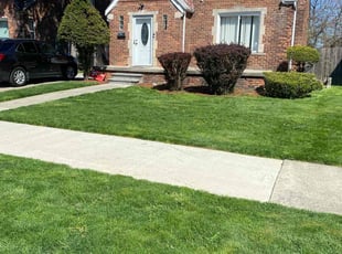 Danny G.'s Lawn Care service result
