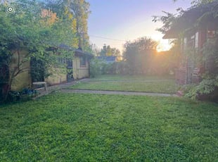 Thomas P.'s Lawn Maintenance service result