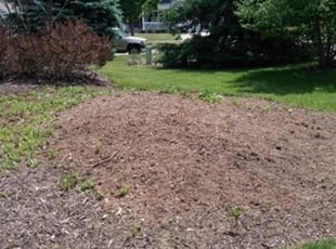 Cleanups by Arisbet Cardoza for Shana F. in Ada, MI