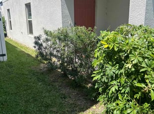 Bush Trimming by Carlton Calloway for Matthew R. in Tampa, FL