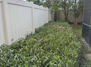 Bush Trimming by James Ramey for Japheth L. in Orlando, FL