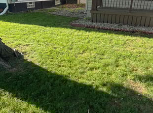 Stephen M.'s Lawn Service service result