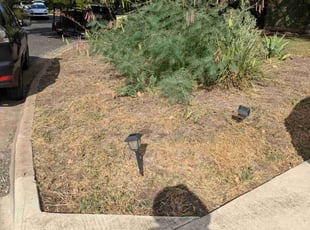 Leaf Removal by Francisco Gutierrez for Lauren M. in Austin, TX