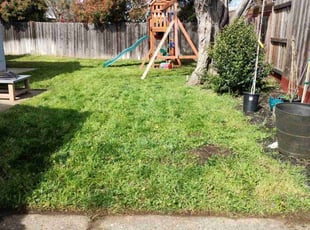 RoseMary P.'s Lawn Service service result