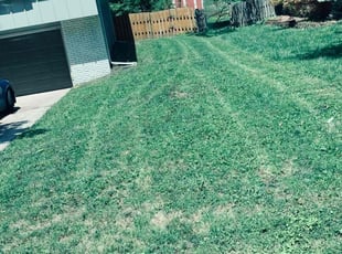 Weeding by jeremy wilkinson for Abby C. in Independence, MO