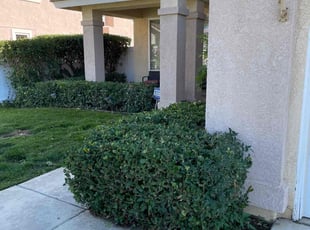 Bush Trimming by Mario Monje for Jeane H. in Lake Elsinore, CA