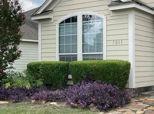 Bush Trimming by Abraham Flores for alisa f. in Richmond, TX