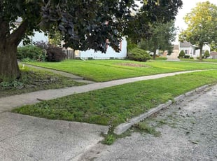 Milo D.'s Lawn Mowing service result