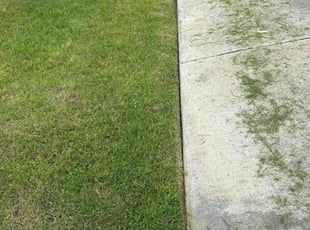 Joshua H.'s Cleanups service result