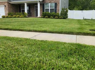 Carolyn B.'s Lawn Mowing service result