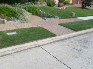 Alexis B.'s Lawn Mowing Service service result