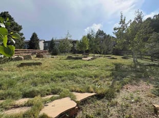 Cleanups by Jason Hernandez for Laura S. in Golden, CO