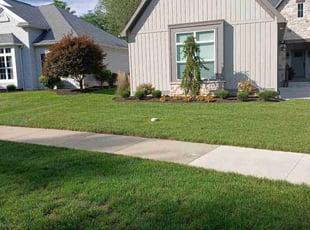 Lauren T.'s Lawn Service service result