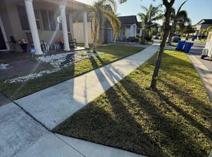 Crystal A.'s Lawn Mowing Service service result