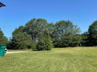 Betty C.'s Lawn Maintenance service result