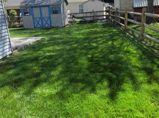 Kristy P.'s Lawn Service service result