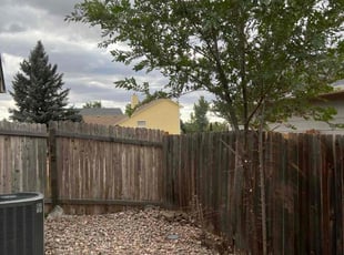 Bush Trimming by Kodi Shotwell for Michael W. in Colorado Springs, CO
