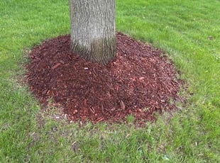 Mulching by Francisco Silva for Debbie K. in Aurora, IL