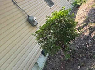 Leaf Removal by Shayron Jones for Luis F. in Portsmouth, VA