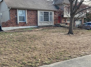 Leaf Removal by Bryan Fletcher for Kelli T. in Overland Park, KS