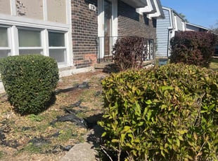 Bush Trimming by Oscar Castillero for Sandra C. in Country Club Hills, IL