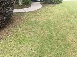 Leaf Removal by Enrique Juarez for Antonio M. in Kennesaw, GA
