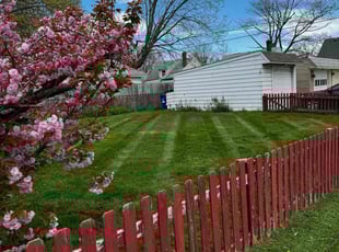 Edward W.'s Grass Cutting service result
