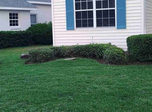 Elizabeth B.'s Flower Bed Weeding service result