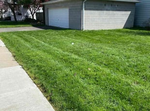 Harold W.'s Lawn Care service result