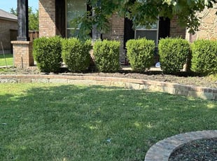 Cleanups by Philip Heinz for Liz N. in Forney, TX
