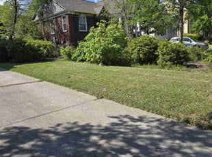 Michael S.'s Lawn Mowing service result