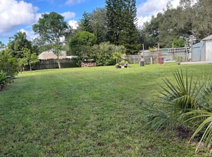Dulcie S.'s Grass Cutting service result