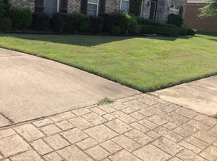 Bush Trimming by DeAnthony Streeter for Orlando S. in Memphis, TN