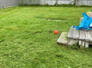 Chris M.'s Lawn Mowing Service service result