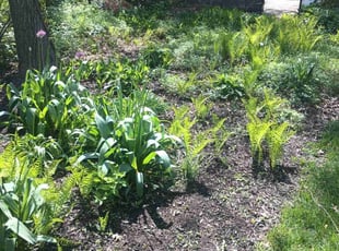 Weeding by Lamonee Jackman for Katie W. in Omaha, NE