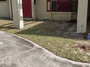 Leaf Removal by Wallace Trowell for Cynthia A. in Winter Haven, FL