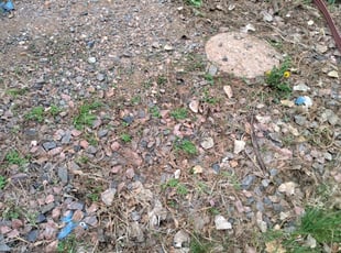 Cleanups by Joey Young for Pat B. in Aurora, CO