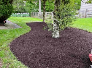 Mulching by Alesandre Duarte for Meena N. in Sterling, VA