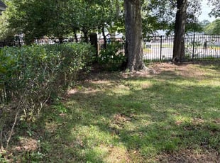 Leaf Removal by Herschell Bradley for Harriett J. in Tallahassee, FL