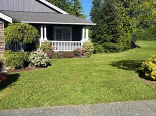 Elizabeth S.'s Lawn Service service result