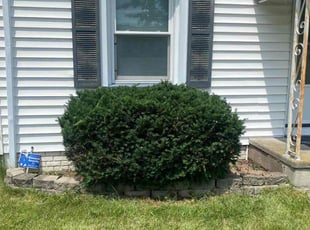 Weeding by Robert Campbell for Keir H. in Rochester, NY