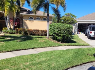 Bush Trimming by Michael Jackson for Dr A. in St. Petersburg, FL